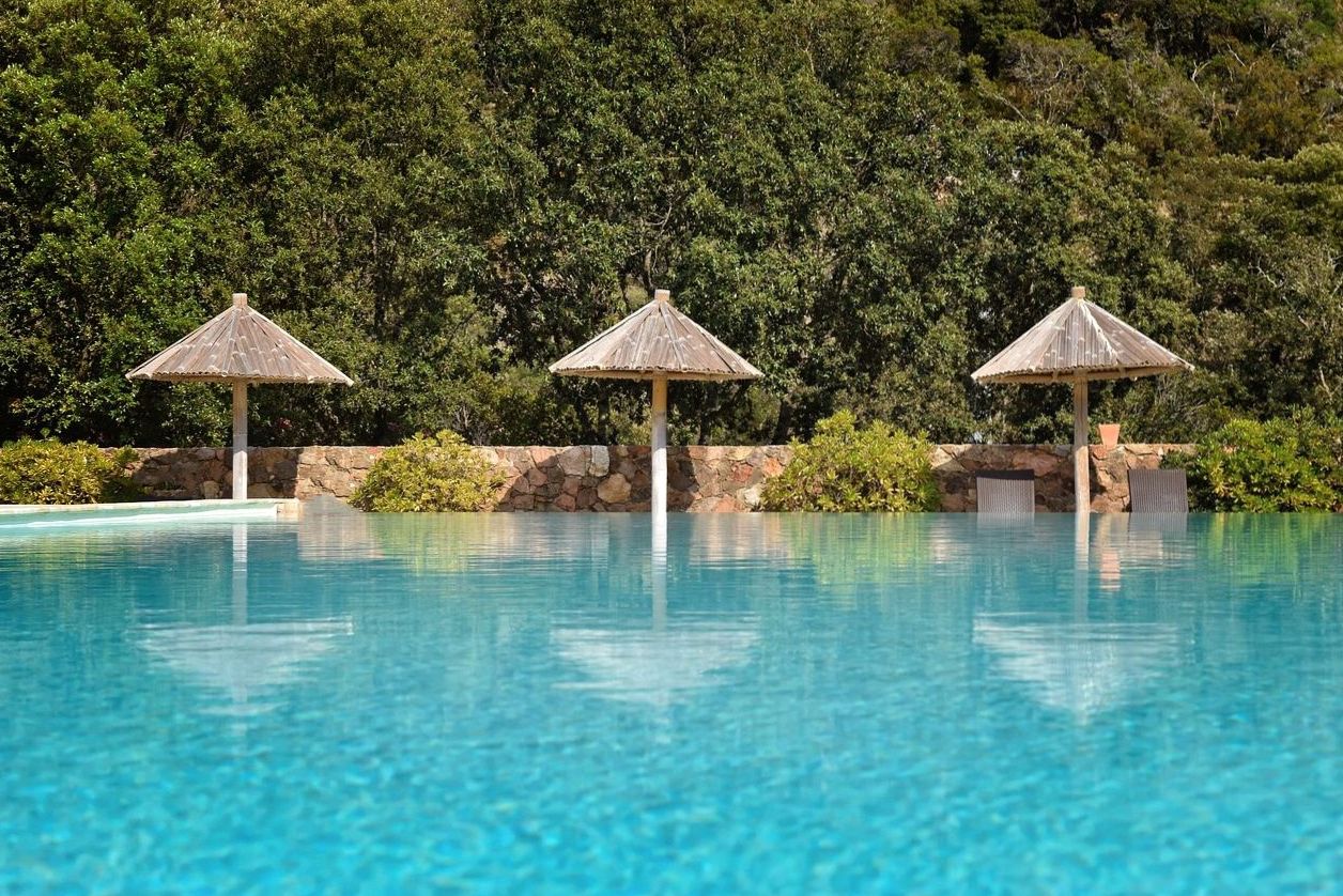 Eucalyptus forest surrounding the hotel